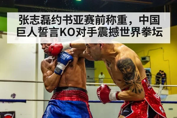 boxer knockout punch