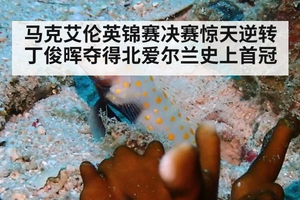 马克艾伦英锦赛决赛惊天逆转丁俊晖夺得北爱尔兰史上首冠